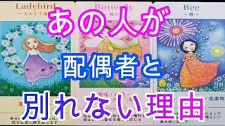 不倫・複雑恋愛【あの人が配偶者と別れない理由】🌶️辛口あり🌶️ルノルマン・オラクルカードリーディング