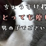 『うさぎカップル』♡最近モモちゃんに怒られっぱなしの僕です♡