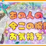 【おはな🌸の恋愛タロット3択🌈】あの人の今この瞬間の気持ち🔮💞お相手を思い想い出した時がタイミング💫🌟お相手の本音と建前＆お相手のモヤモヤした気持ちが伝わります😳㊙