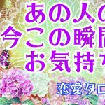 【おはな🌸の恋愛タロット3択🌈】あの人の今この瞬間の気持ち🔮💞お相手を思い想い出した時がタイミング💫🌟お相手の本音と建前＆お相手の深い気持ちが伝わりました💑🍒