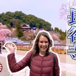 Cherry Blossoms at Hase-dera 【字幕あり】桜の名所 長谷寺 #国際カップル #桜 #花見スポット