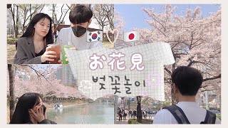 [ JP & KR ]🌸  한일커플 벚꽃놀이 브이로그 🌸　日韓カップル💕韓国でお花見ピクニックvlog～＾＾