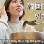 【韓国生活/Vlog】 韓国に住む日本人の平凡な？日常🇰🇷 見た目ちょいとグロテスクだけど私が好きな韓国料理😬 【日韓夫婦/한일부부/日韓カップル/한일커플】