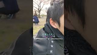 ドミノ・ピザ【日韓カップル】花見