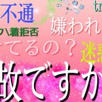 〈恋愛総合〉深読みです。音信不通〜ブロック拒否。嫌われた？避けてるの？迷惑？お相手の気持ち・何故ですか？