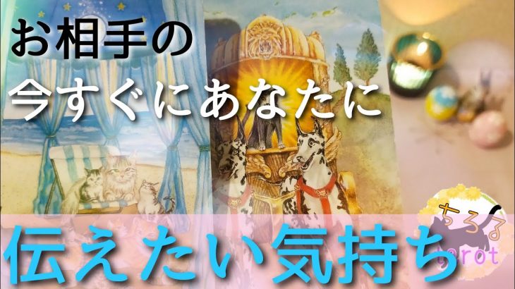 お相手の今すぐにあなたに伝えたい気持ち★恋愛タロット