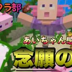 ゆいマイクラ～女子クラ部～※参加不可#カップルチャンネル #マイクラサバイバル #女子会