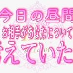 【恋愛💗昼間のあの人】今日､昼間のお相手があなたについて考えた事💗タロット🧚オラクルカードリーディング