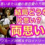 片思い　タロット　片思いまたは歳の差恋愛の方限定　結局どうなる？気になるあの人とあなたは片思い？両思い？グランタブロースプレッド＆タロットでお相手のお気持ちを深堀りリーディング。ハッキリ出る♡