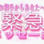 【恋愛💗緊急💌!!!】今すぐ伝えたい😢タロット🧚オラクルカードリーディング💗