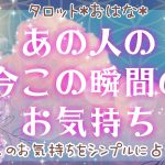 【おはな🌸の恋愛タロット3択🌈】あの人の今この瞬間の気持ちをシンプルに鑑定🔮💞お相手のストレートすぎる本音のお気持ちが伝わりました😳💓