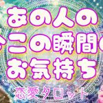 【おはな🌸の恋愛タロット3択🌈】あの人の今この瞬間の気持ち🔮💞お相手の本音と建前＆不器用すぎるメッセージが伝わりました🌟☀