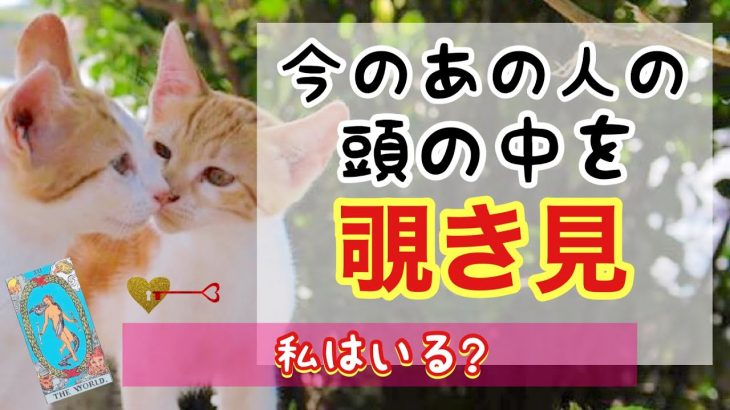 嬉喜結果⁉【恋愛占い】今のあの人の頭の中を覗いてみたい。一番大事なのは？あなたへの気持ち。あなたへ一言伝えたいこと❤【ルノルマン・タロット】