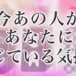 今あの人があなたに感じている気持ち❣️ -恋愛 タロット オラクル –