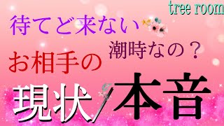 〈恋愛総合〉待てど来ない❤️‍🩹もうこの恋は潮時なの？お相手の現状/本音(説明欄をご覧下さい)