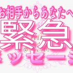 【恋愛❤️緊急】今のお相手から…緊急です😢💗タロット🧚オラクルカードリーディング