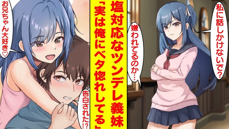 【漫画】ツンデレ義妹が塩対応すぎるが実は兄のことが大好きで裏で俺に告白していた。義妹「私に話しかけないで？」俺「嫌われてるのか」美女「お兄ちゃん大好き」俺「告白された！？」【胸キュン漫画】【恋愛漫画】