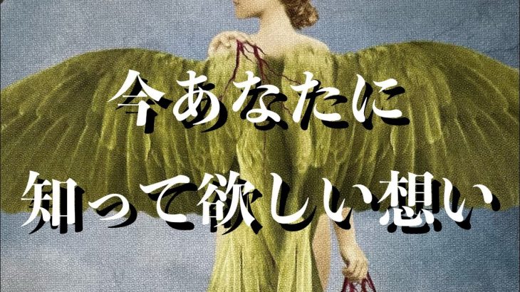 ❤️あの人が今あなたに知って欲しい想い🦋恋愛タロット霊感リーディング