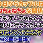 カップルになろうとする2人の元に、すいせいが登場するシーン【桃鈴ねね,常闇トワ,星街すいせい/ホロライブ/切り抜き】