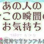 【おはな🌸の恋愛タロット3択🌈】あの人の今この瞬間の気持ちをシンプルに鑑定🔮💗お相手様の真実のお気持ちが伝わりました😳👼💓