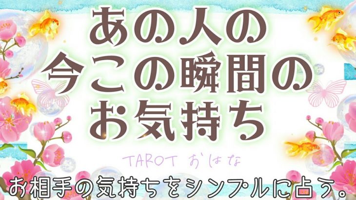 【おはな🌸の恋愛タロット3択🌈】あの人の今この瞬間の気持ちをシンプルに鑑定🔮💗お相手様の真実のお気持ちが伝わりました😳👼💓