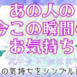 【おはな🌸の恋愛タロット3択🌈】あの人の今この瞬間の気持ちをシンプルに鑑定🔮💗お相手様の意外すぎる不器用な本音が伝わりました💥😌