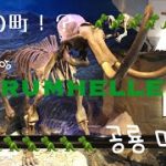 【日韓カップル/ 한일커플】(JP/KR)恐竜の町に行ってみた 공룡마을에 갔다왔어요!!INドラムヘラー Drumheller