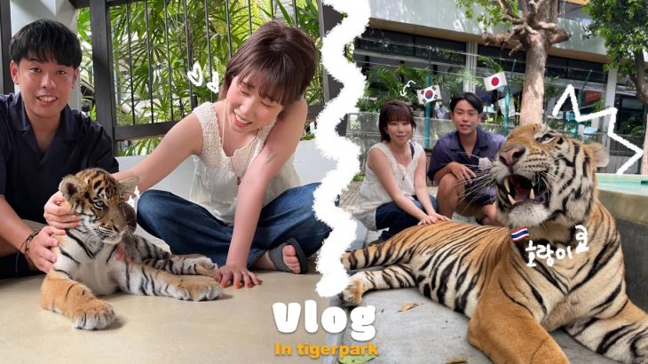 [韓日カップル] 韓国人彼女と虎に会いに行った一日🐯ㅣTiger park pattaya