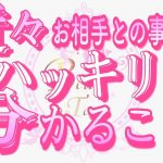 【恋愛❤️驚愕👀】お相手の愛が強過ぎる方…いました😢タロット🧚オラクルカードリーディング