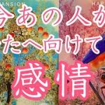 【恋愛❤️】今あの人があなたへ向けている感情　🍀今後の展開［タロットオラクルルノルマンリーディング］