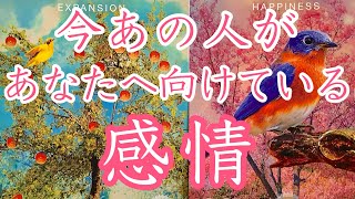 【恋愛❤️】今あの人があなたへ向けている感情　🍀今後の展開［タロットオラクルルノルマンリーディング］