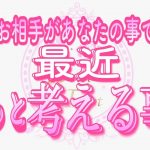 【恋愛❤️感動】最近ずっとあなたの事を考えすぎてます😢タロット🧚オラクルカードリーディング