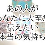 大至急あの人があなたに伝えたい事☆恋愛タロット占い☆復縁・疎遠・音信不通・離れたあの人からの伝言