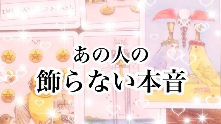 【恋愛💖タロット】あの人の飾らない本音