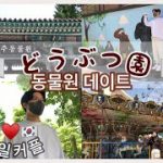 🤍 한일커플 🤍 전주 동물원 데이트 ~!! 🐻日韓カップルの動物園デート🦒