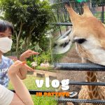 [韓日カップル] タイの動物園で1日餌やり体験 ଘ(੭ˊᵕˋ)੭* ੈ✩‧₊˚ㅣKHAO KHEOW OPEN ZOOㅣPUPEN SEAFOOD