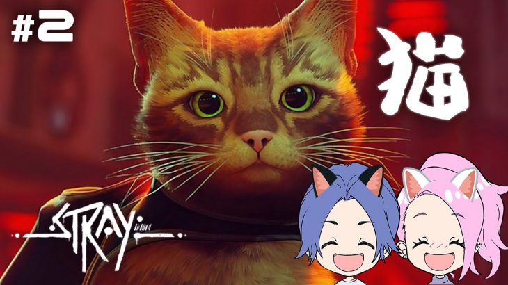 【Stray】ただの猫可愛い冒険ゲーじゃないの！？！？！【カップルゲーム配信】#2