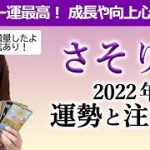 【占い】さそり座 ２０２２年後半の運勢と注意点！  恋愛・パートナー運で運気最高！ でも幸せすぎるからといって思考停止にならず向上心を持って