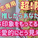 【ＢＧＭ小さくしました】推しからの印象。恋愛的には？【内容変わってません】