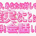 【恋愛❤️必見🌟】お相手の確実な答えが凄すぎた😉 [対話鑑定級タロット🧚]