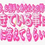 【恋愛❤️驚愕🌟】正直に答えてくれました😳[対話鑑定級タロット🧚]