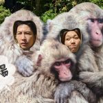 【日韓カップル】高尾山のさる園きた!