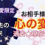 【複雑恋愛】お相手様のあなたへの心の動き｡.*🌙この先は？お相手様の本心が読み取れました❤  ⚠️ほんの少し厳しめ有り⚠️