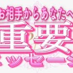 【恋愛❤️緊急伝言🌟】今の重要メッセージです😢[個人鑑定級タロット🧚]