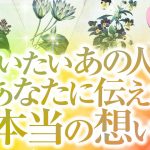 🔮恋愛タロット🌈会いたい！あの人が今あなたに伝えたい本当の想い🌈あの人とあなたに何が起こる❔2人の関係・2人の未来を深掘り💗片思い・音信不通・疎遠・お別れ・複雑恋愛・不倫・三角関係・曖昧な関係等