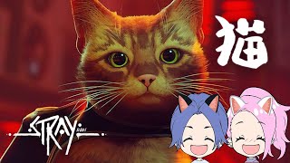 【Stray】猫になるゲームの最終回！ジェイルから！【カップルゲーム配信】#4