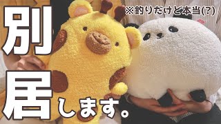 【同性カップル】ちょっとしたご報告