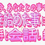 【恋愛❤️いよいよ🌟】お相手が動き始めました😢[対話鑑定級タロット🧚]