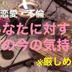 複雑恋愛  不倫  『あなたに対する彼の今の気持ち』