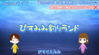 福岡(博多湾)で釣る！秋のサゴシ会議【釣り女子・カップル釣り】